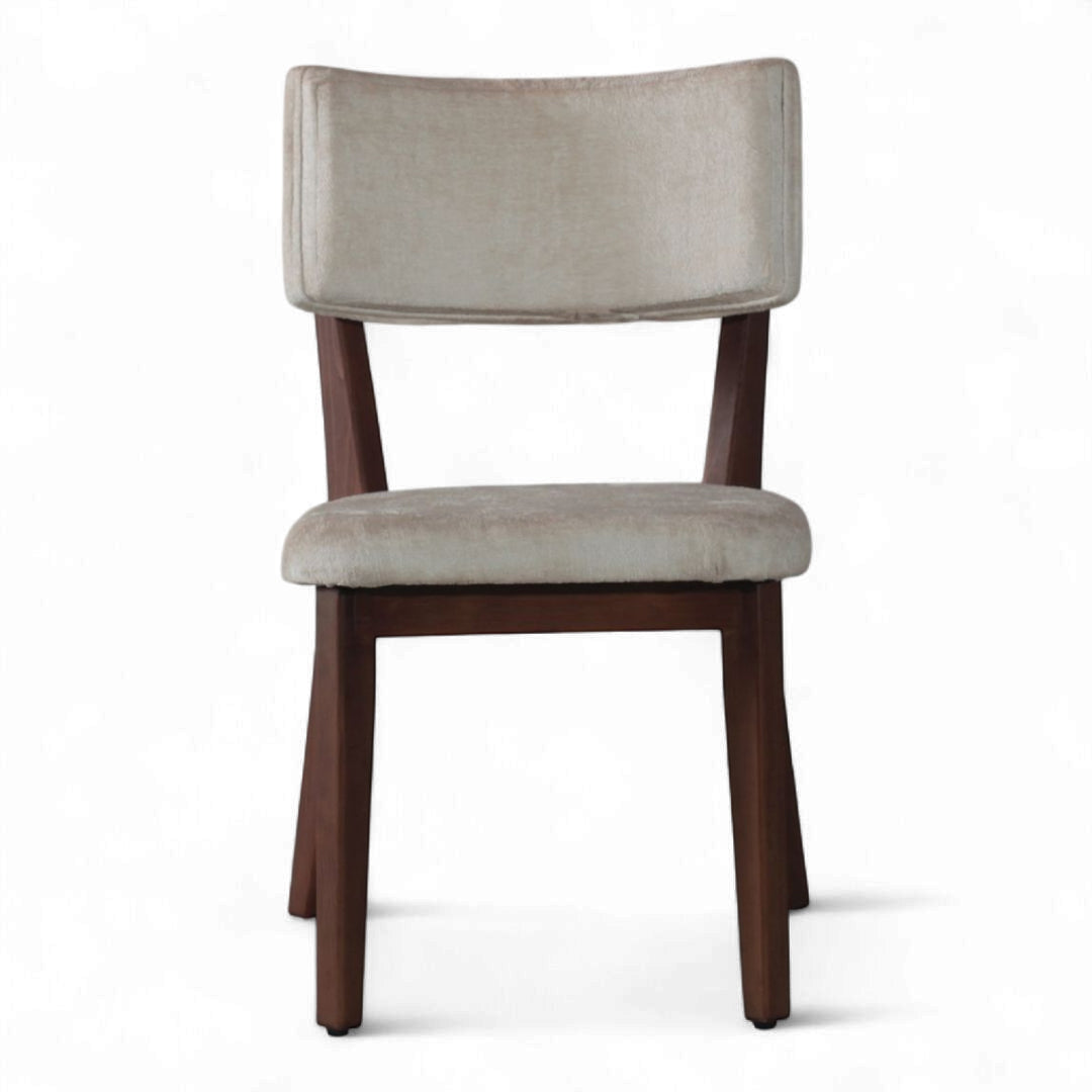 Silla Oasi