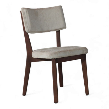 Silla Oasi