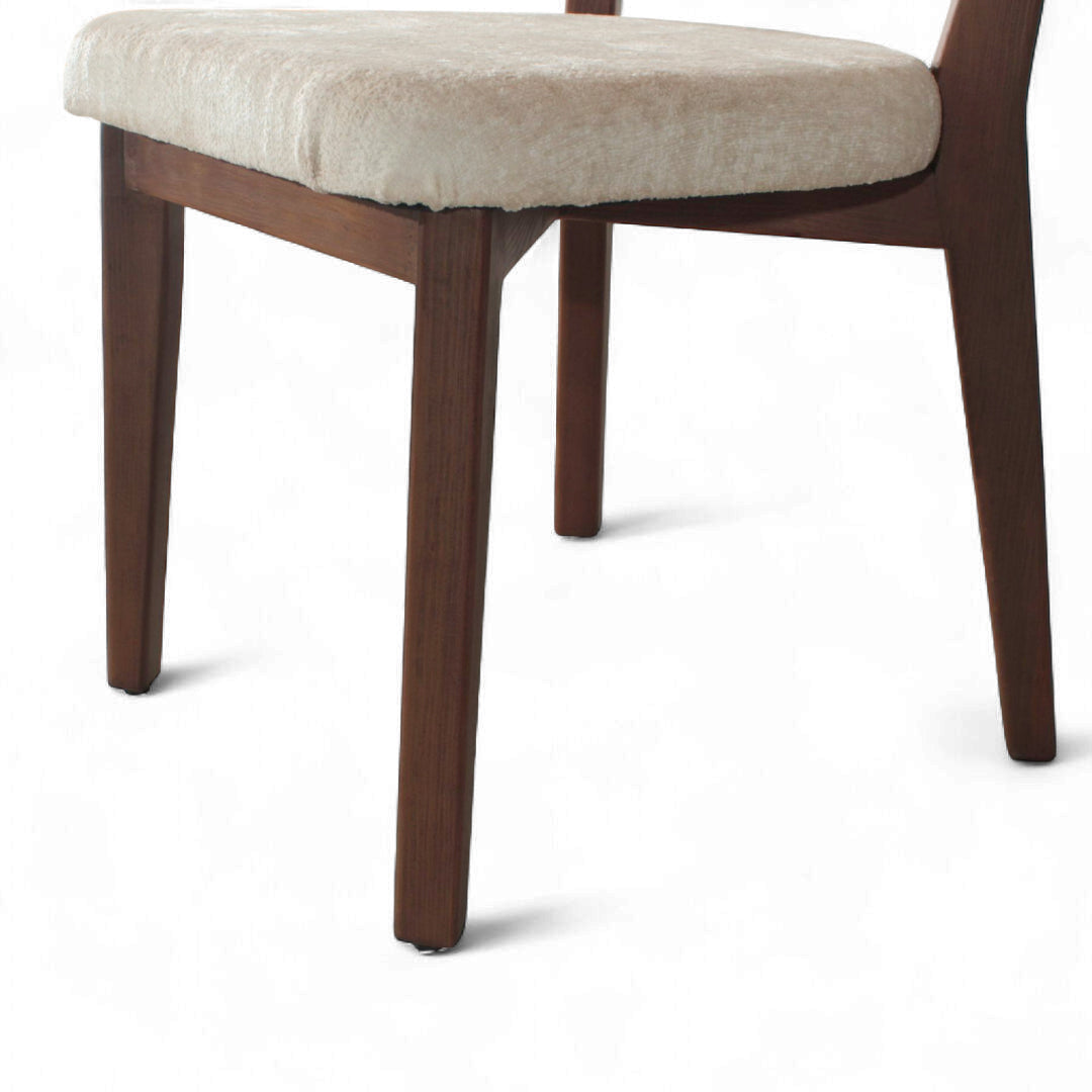 Silla Oasi